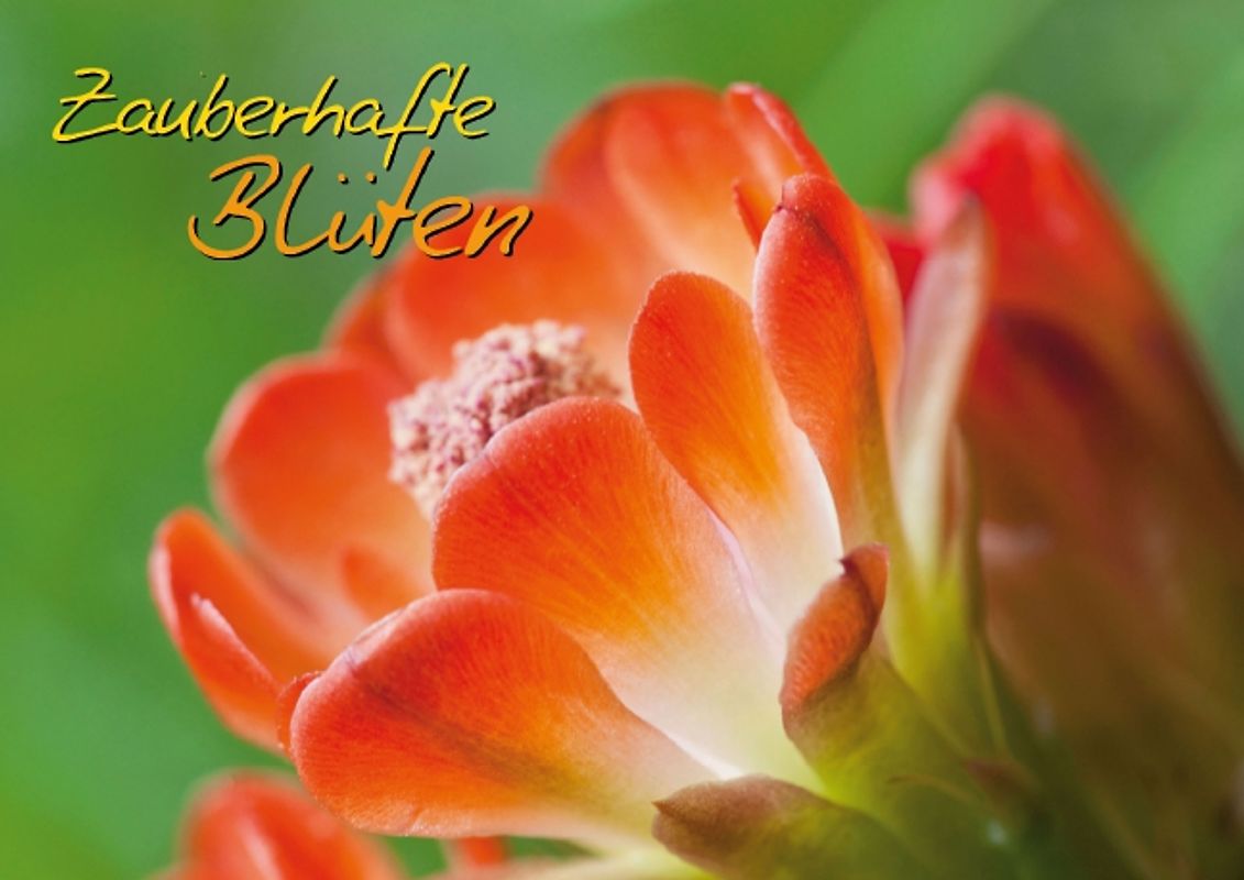 Zauberhafte Blüten (Posterbuch DIN A3 quer)