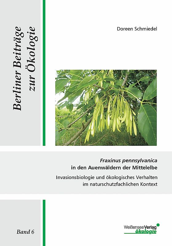 Fraxinus pennsylvanica in den Auenwäldern der Mittelelbe