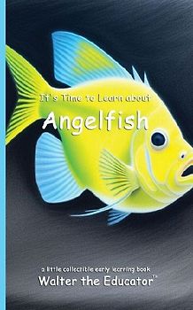 It's Time to Learn about Angelfish
