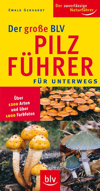 Der grosse BLV Pilzführer für unterwegs