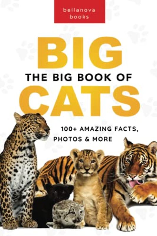 The Big Book of Big Cats