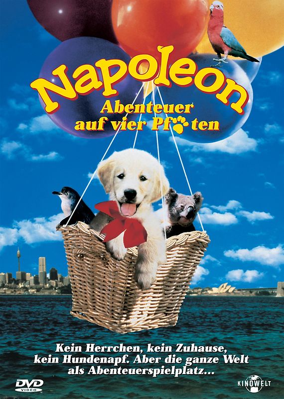 Napoleon-Abenteuer auf vier Pfoten DVD