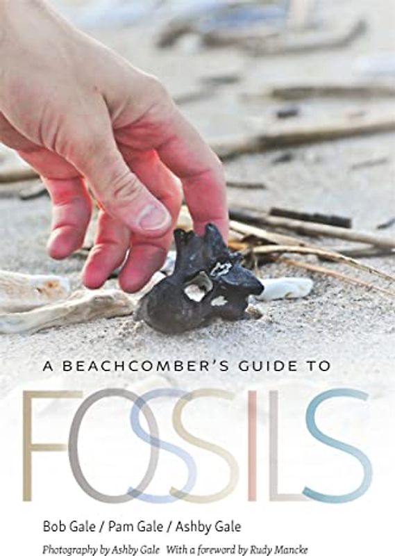 A Beachcomber's Guide to Fossils