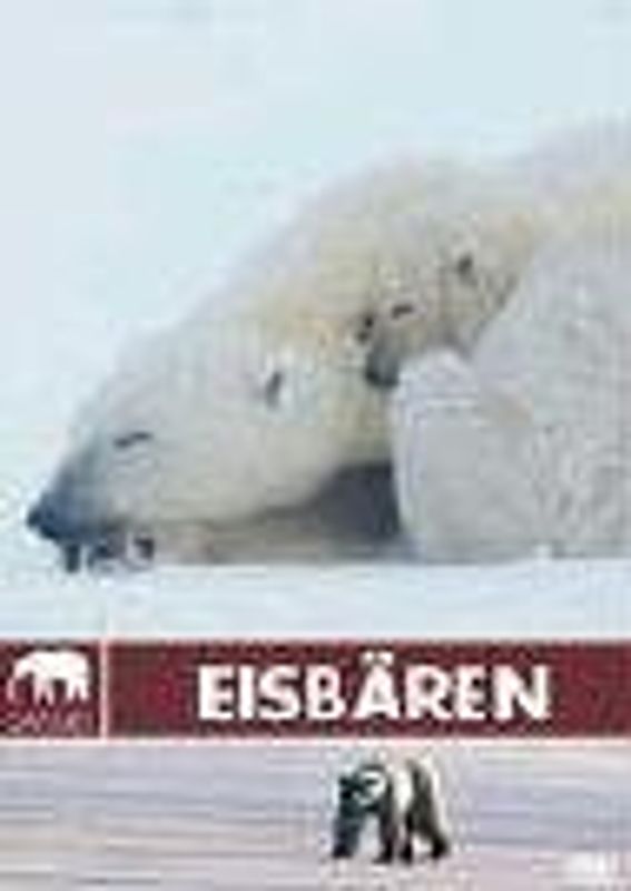 Safari: Eisbären DVD