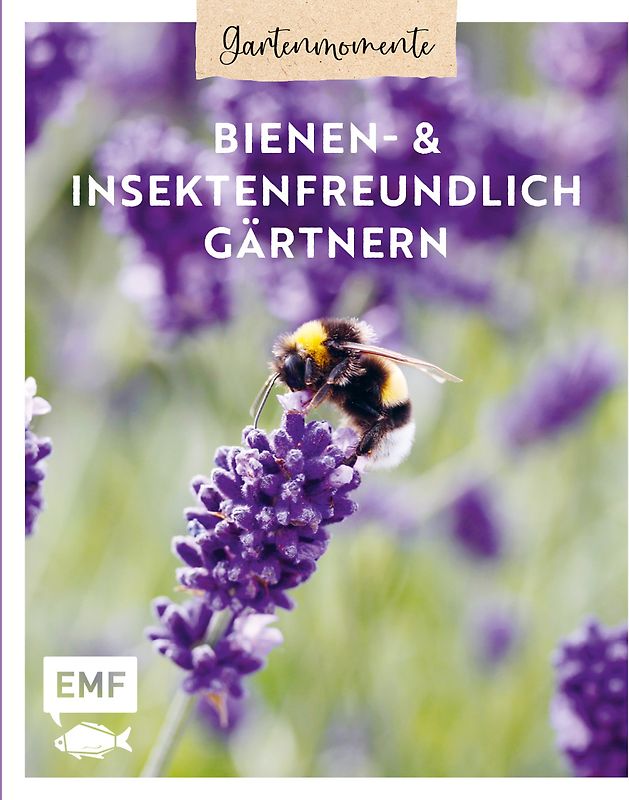 Gartenmomente: Bienen- und Insektenfreundlich gärtnern