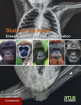 Disease, Health and Ape Conservation