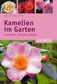 Kamelien im Garten