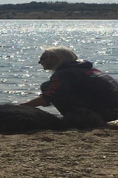 Ein Leben unter Hunden