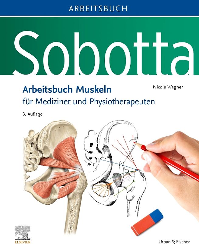 Sobotta Arbeitsbuch Muskeln