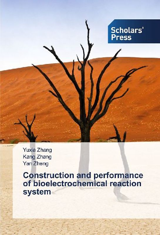 Construction and performance of bioelectrochemical reaction system
