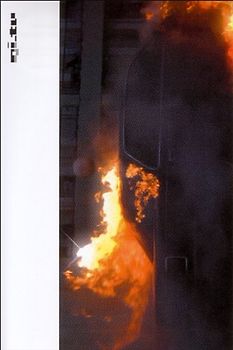 Ambient Motion Pictures - Fireplace DVD