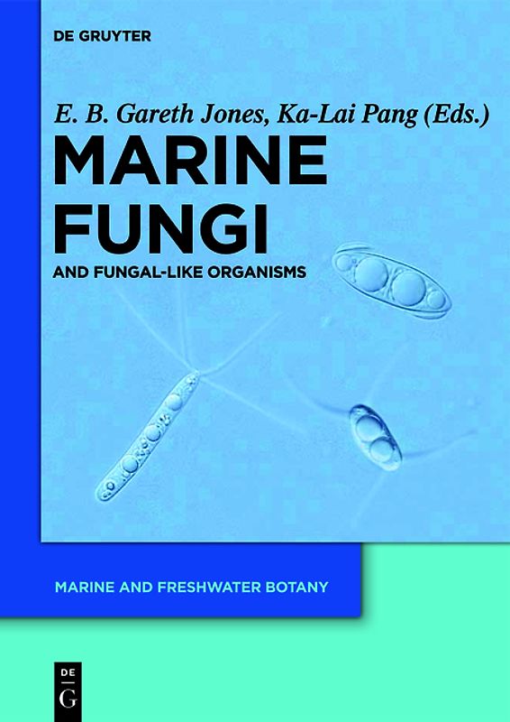 Marine Fungi