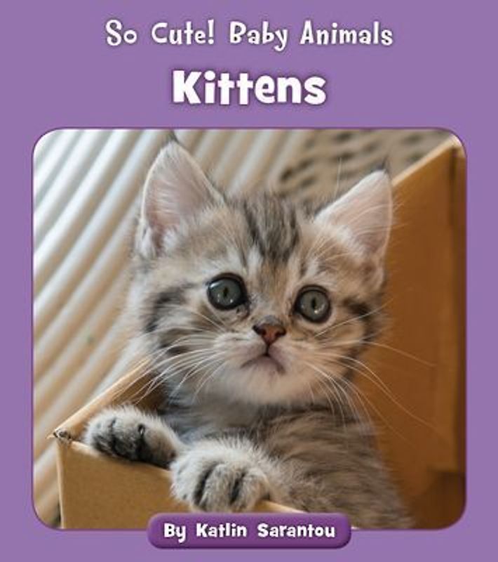 Kittens