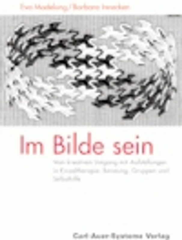Im Bilde sein