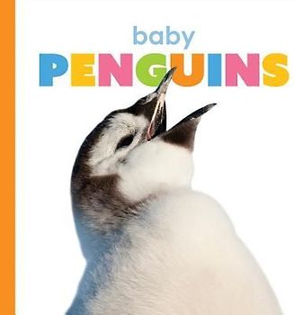 Baby Penguins