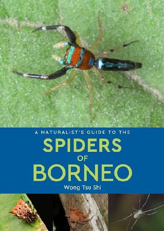 A Naturalist's Guide to the Spiders of Borneo