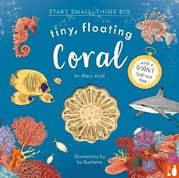 Tiny, Floating Coral