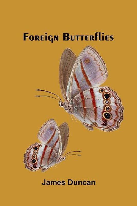Foreign Butterflies