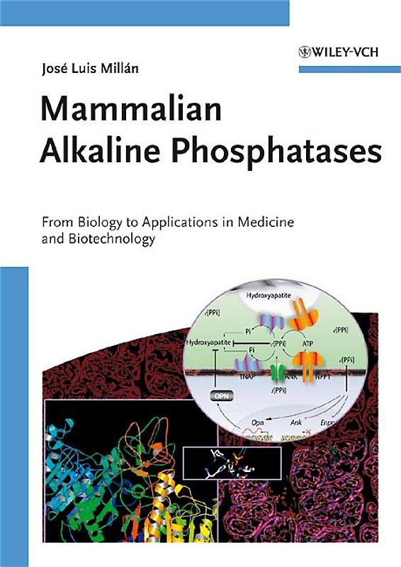 Mammalian Alkaline Phosphatases