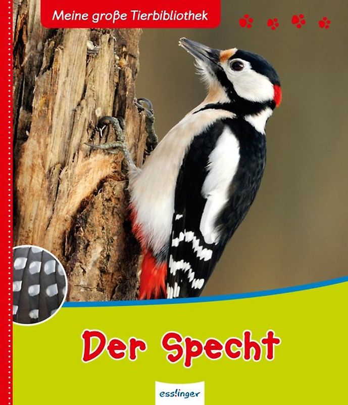 Meine große Tierbibliothek: Der Specht