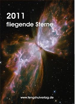 Fliegende Sterne 2011