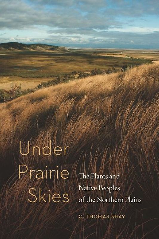 Under Prairie Skies