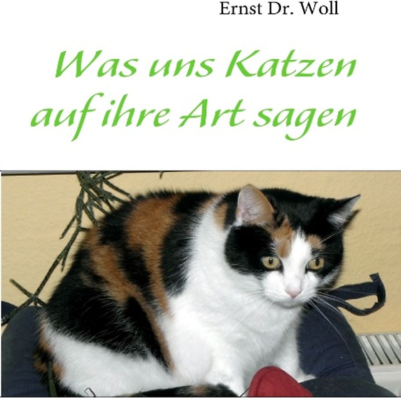 Was uns Katzen auf ihre Art sagen