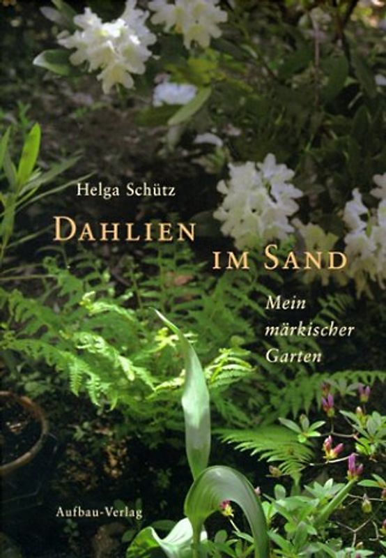 Dahlien im Sand