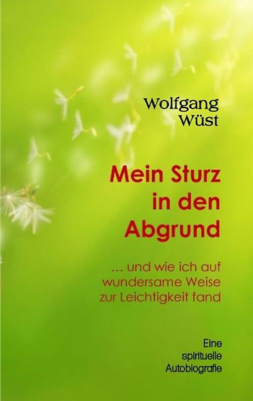 Mein Sturz in den Abgrund