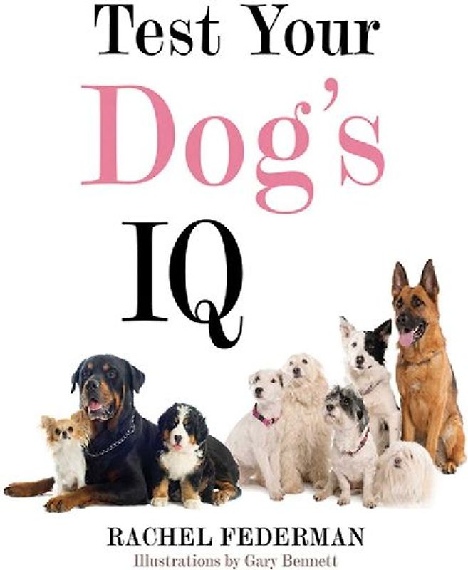 Test Your Dog's IQ