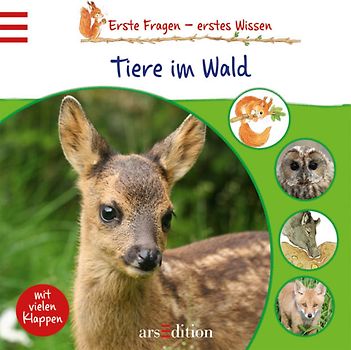 Tiere im Wald