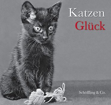 Katzenglück (Gebundene Ausgabe)
