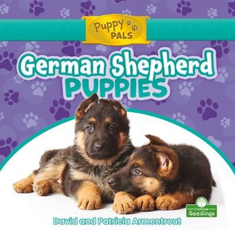 German Shepherd Puppies