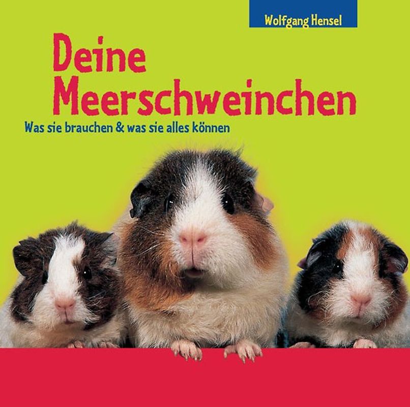 Deine Meerschweinchen