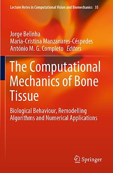 The Computational Mechanics of Bone Tissue