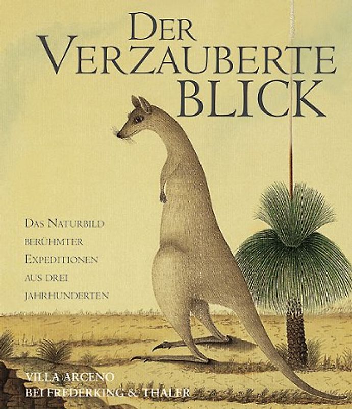 Der verzauberte Blick