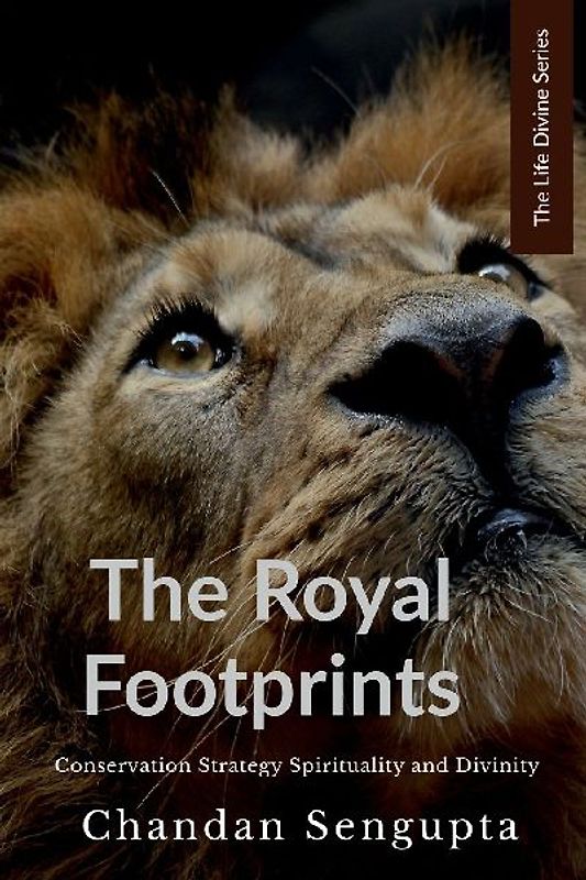 The Royal Footprints