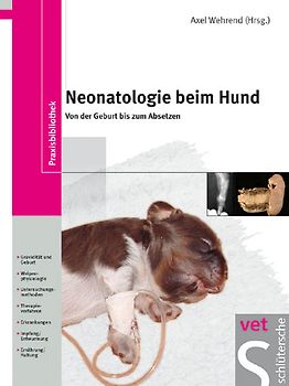Neonatologie beim Hund