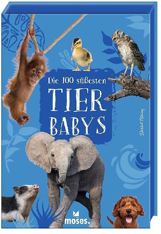 Die 100 süßesten Tierbabys
