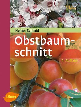 Obstbaumschnitt