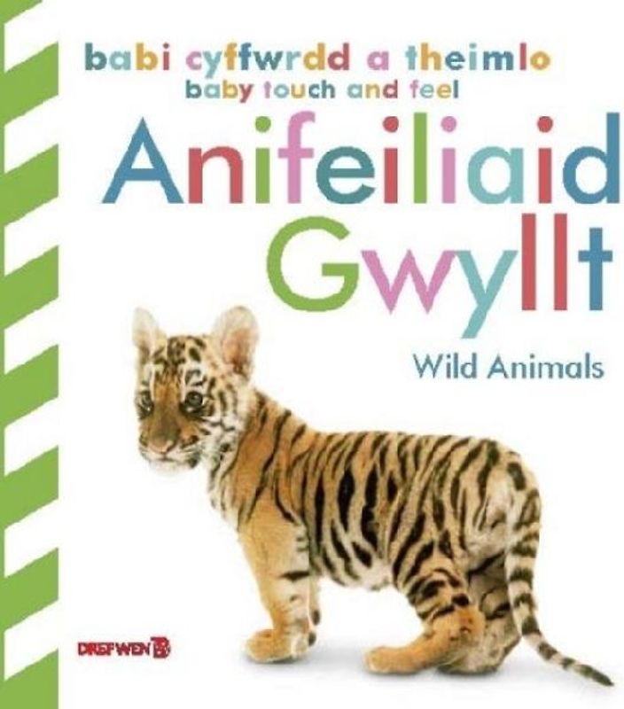 Babi Cyffwrdd a Theimlo: Anifeiliaid Gwyllt / Baby Touch and Feel: Wild Animals
