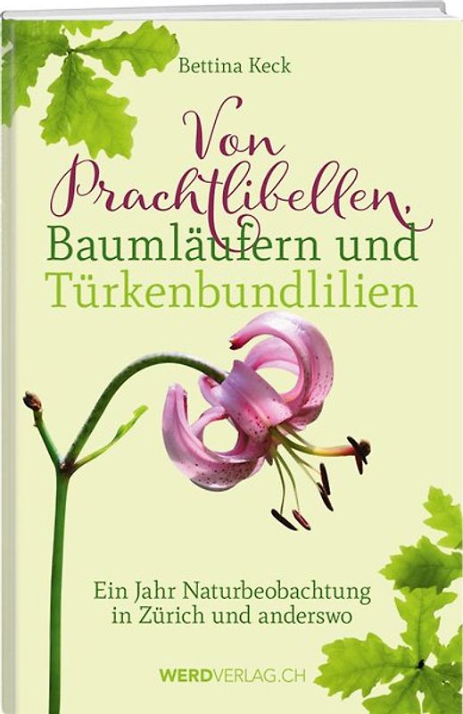 Von Prachtlibellen, Baumläufern und Türkenbundlilien