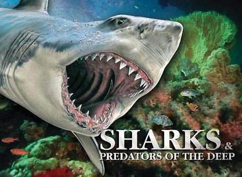 Sharks & Predators of the Deep
