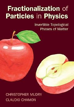 Fractionalization of Particles in Physics