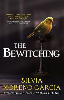The Bewitching