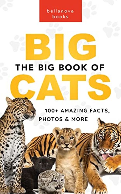 The Big Book of Big Cats