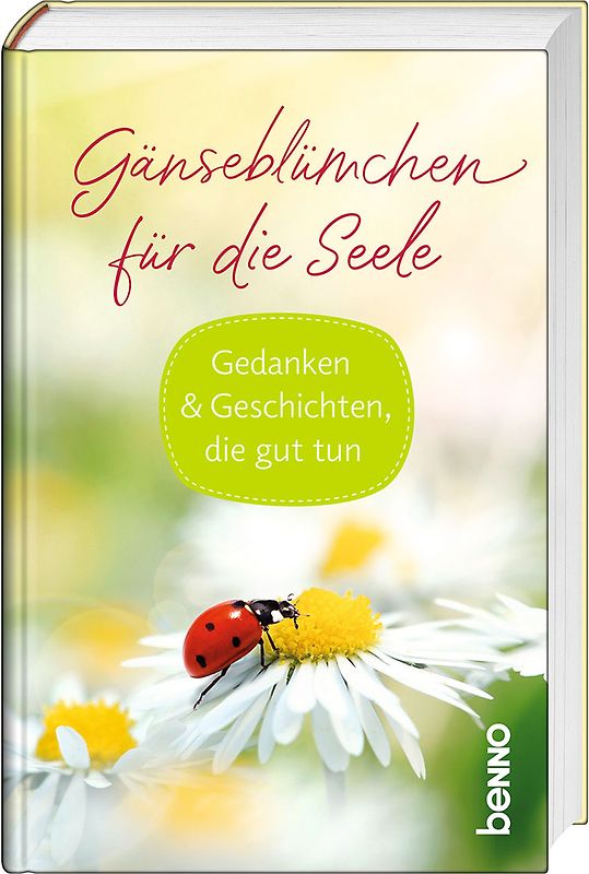 Gänseblümchen für die Seele