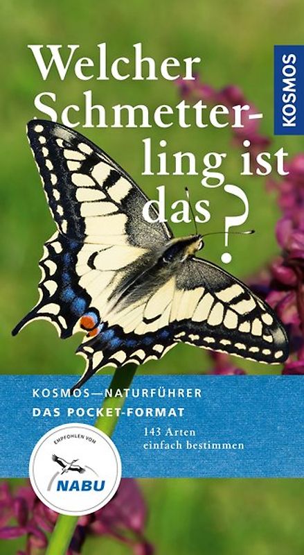 Welcher Schmetterling ist das?