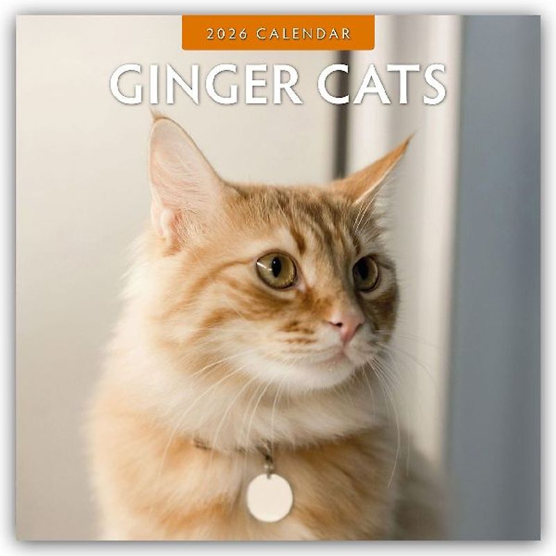 Ginger Cats 2026 Square Wall Calendar