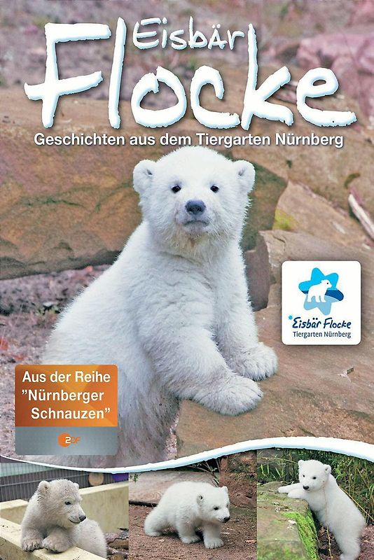 Eisbär Flocke - Flocke Geschichten aus dem Tiergarten Nürnberg DVD